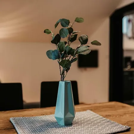 Flasch Appart-pension Maison d'hôtes 3*